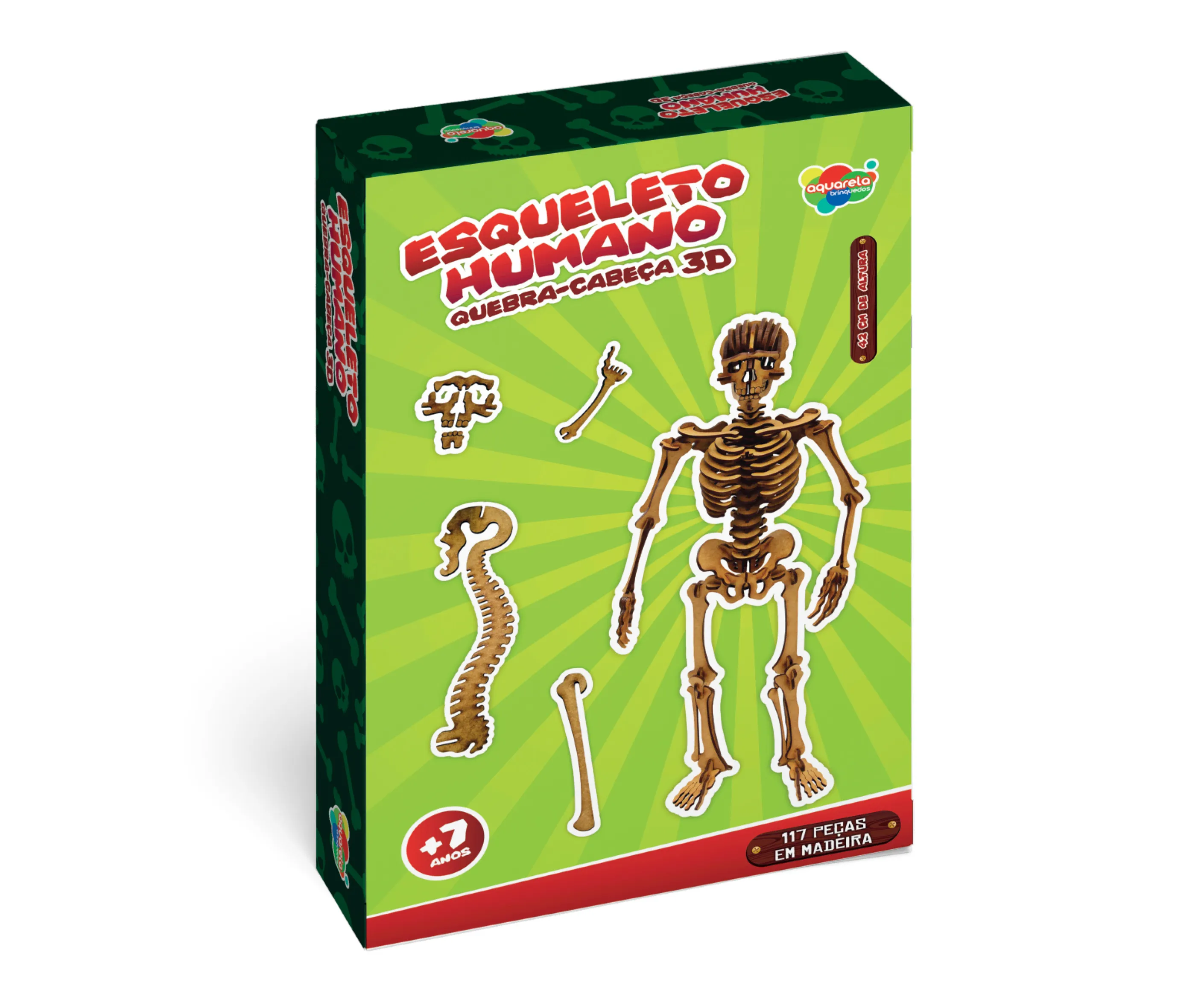 Esqueleto Humano - Quebra-Cabeça 3D