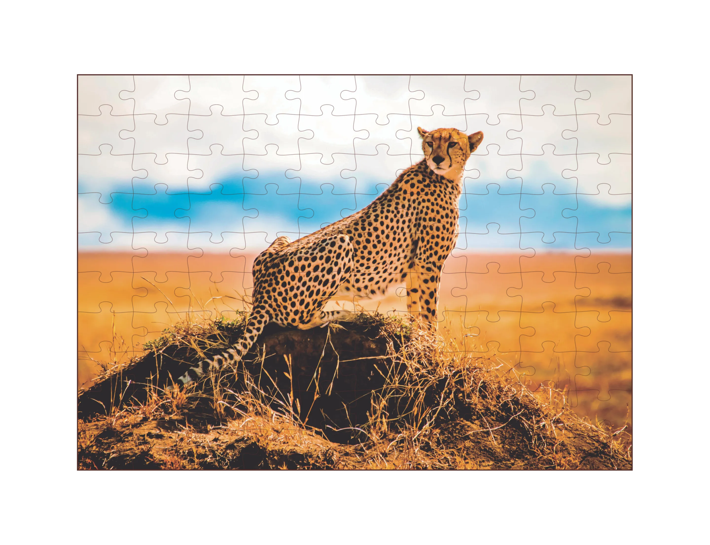 Quebra-Cabeça 100 peças - Animais da Savana - Guepardo