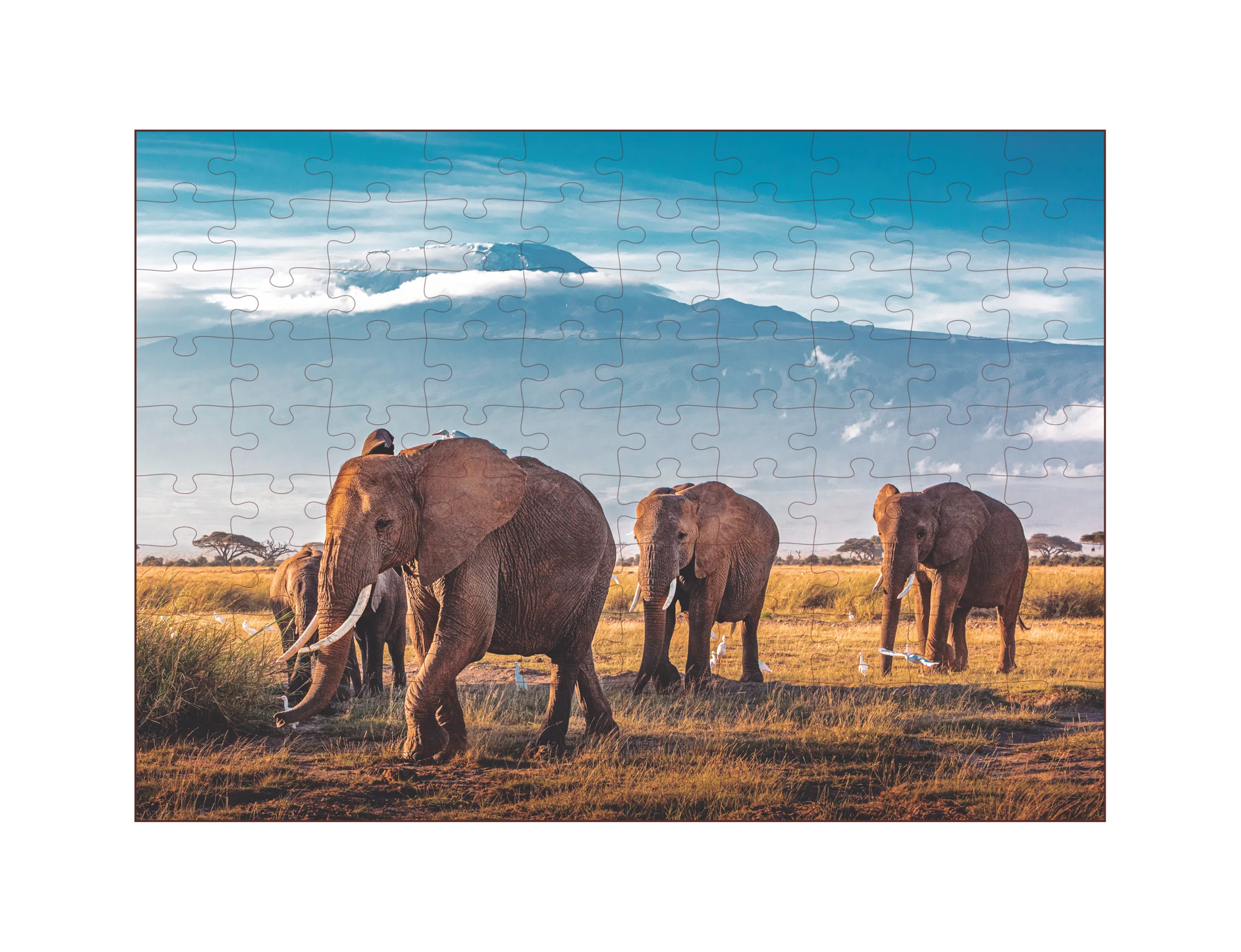 Quebra-Cabeça 100 peças - Animais da Savana - Elefante